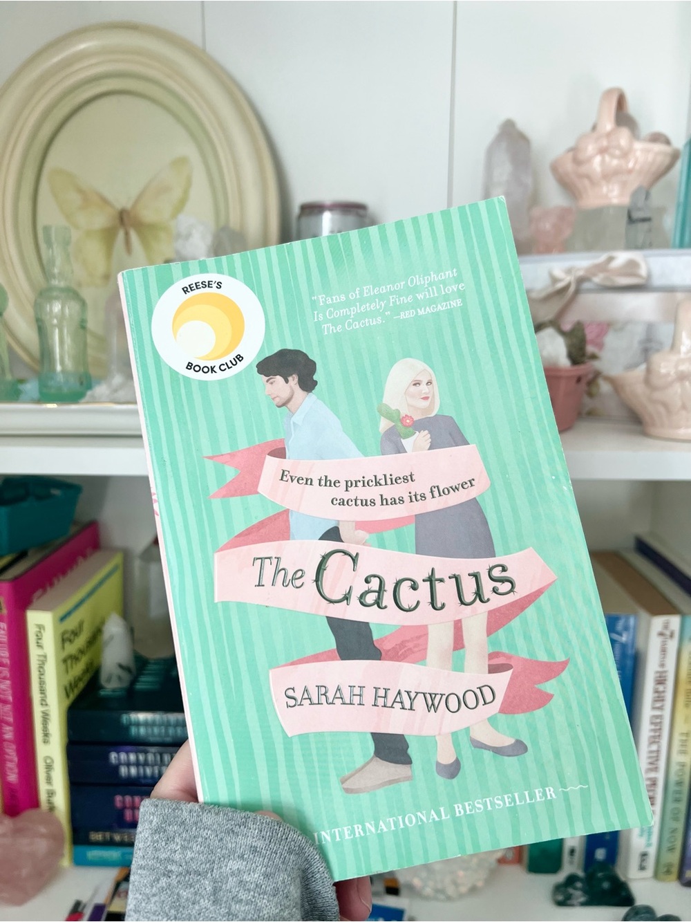 The Cactus by Sarah Haywood Paperback Reese's Book Club Fiction Novel